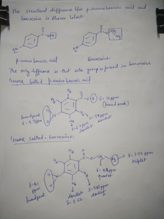 The structural difference b/w p-ammo benzoic acid and benzocaine is shown below V си, CAL UN UN Benzocaine p-au -aminobenzoi