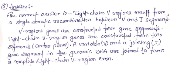Answer:- The correct answer is – Light-chain V regione resuft from single somafic recombination between UV and I segmente. V