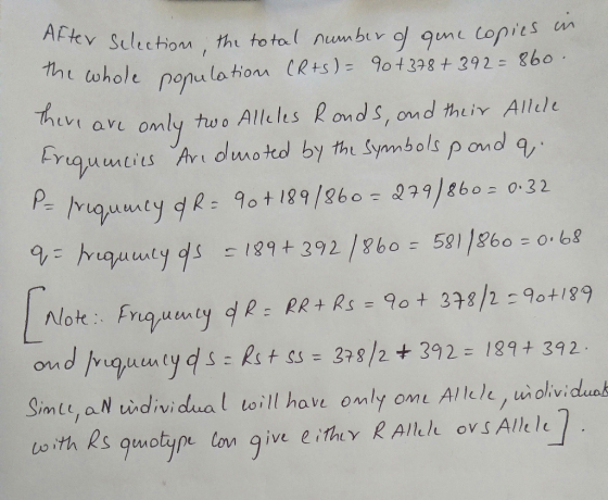 ter selection, the total number of qune copies in the whole population (Rts) = 90 +378 + 392 = 860. There are only two Allele
