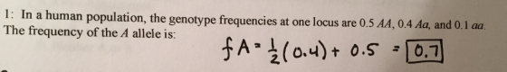 1: In a human population, the genotype frequencies at one locus are 0.5 AA, 0 The frequency of the A allele is: 4 Aa, and 0.1 aa fA (o,4) t