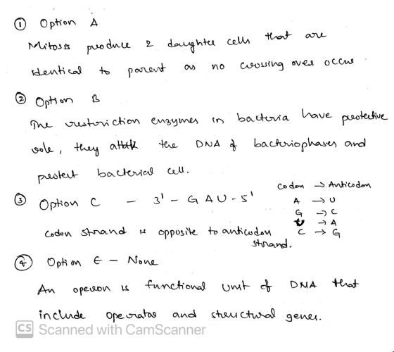 Option that are cells Mitosis produce a daughtee parent occue no identical to crossing over in Option 13 The restoriction enz