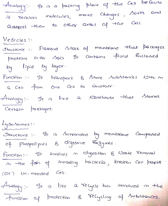 Analogy: It is a packing plast of the Cell because it receives molecules, make changes , sorts and address them to other area