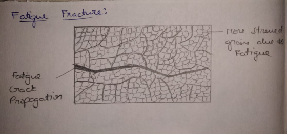 Fatigue Fracture? - more streved grains due to Patique Fatique Gact Propagation