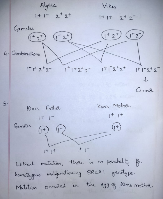 Vikas it it (1+ 2t 1-2t occurred in the egg of Kims mother. Alyssa 1+1 2+2+ 2+2- Gametes 1+ 2t 1+2 4. Combinations itit 2+2+