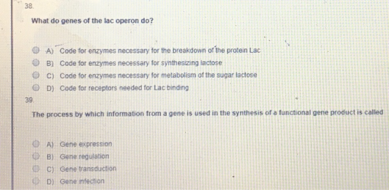 What do genes of the lac operon do? A) Code for enzymes necessary for the breakdown of the protein Lac B) Code for enzymes ne