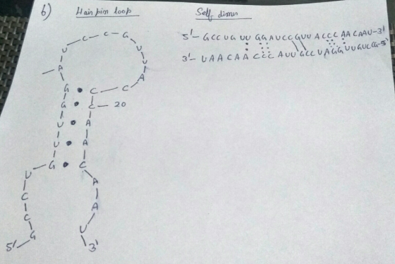 6)isi hin o Ca レ 3