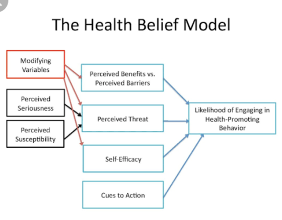 The Health Belief Model Modifying Variables Perceived Benefits vs. Perceived Barriers Perceived Seriousness Perceived Threat