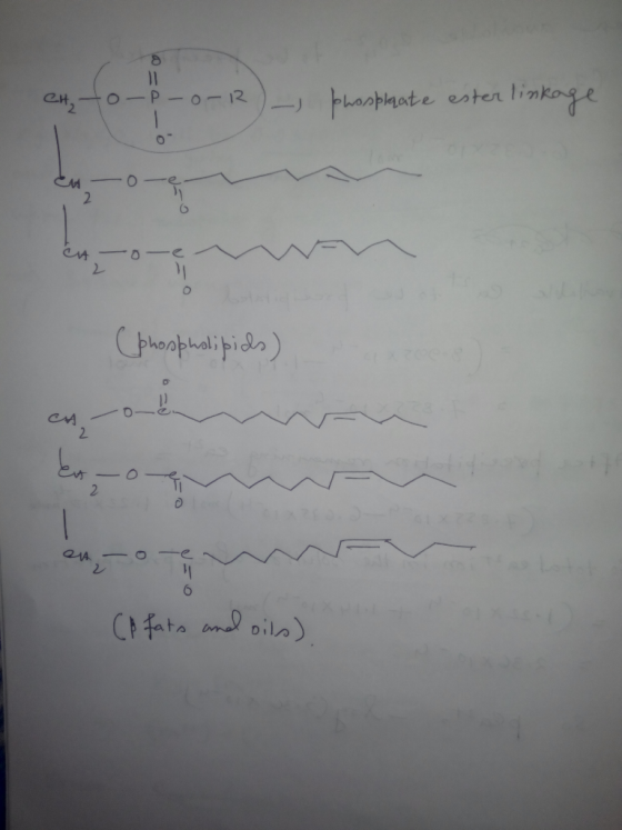 CH, to-p-o-1 ) ) phosphate ester linkage En oe (phospholipids) en - o (A fats and oils)