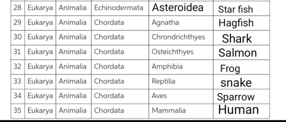 28 Eukarya Animalia Echinodermata Asteroidea 29 Eukarya Animalia Chordata Agnatha 30 Eukarya Animalia Chordata Chrondrichthye