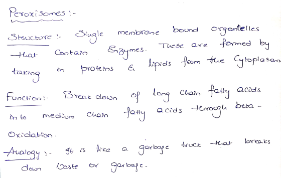 Peroxisomes :- Structure! Single membrene bound Orgontelles Hat contain Enzymes. These are formed by taking in proteins į lip