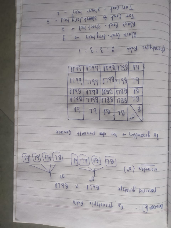 1 Answers 6 :- ta phenotypic Patio Оля Пн Вmohite 60L1 x ВЬL0 nomeles (22) @ [) (БЦ ® : 0 В to generation of by cho punnett S