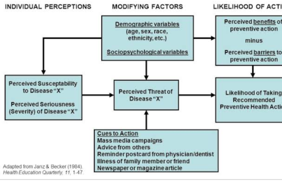 INDIVIDUAL PERCEPTIONS MODIFYING FACTORS LIKELIHOOD OF ACTI Demographic variables (age, sex, race, ethnicity, etc.) Perceived