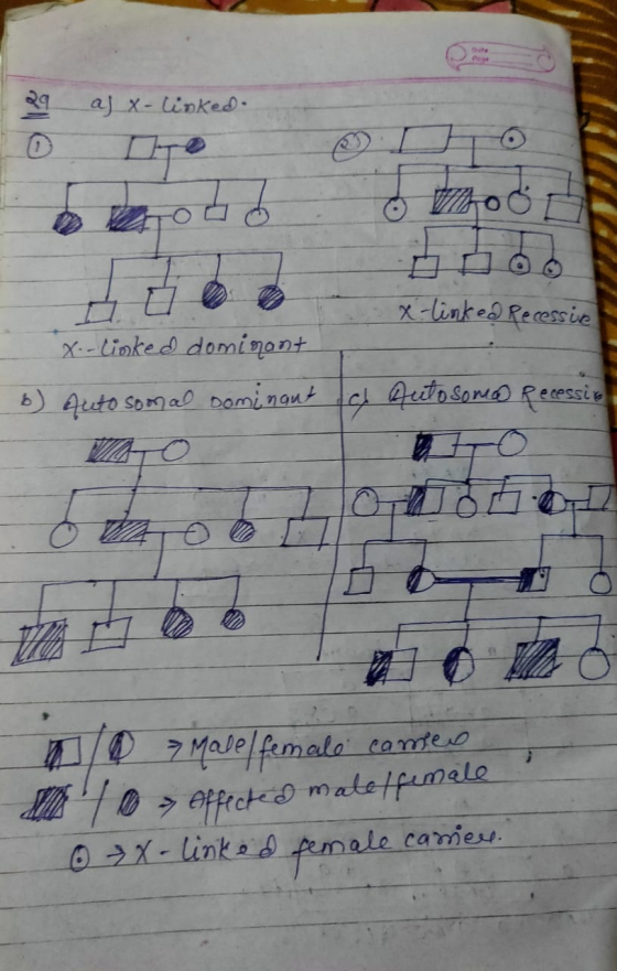 29 aj x-linked. behoud & boot X-linked Recessive X-linked dominant Autosomal Dominant b) c Autosomo Recessio. > male/female c
