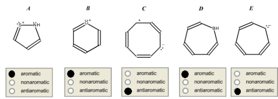 BH O aromatic O nonaromatic! O nonaromatic! |○ nonaromatic | |O nonaromatic| |O nonaromatic aromatic aromatic aromatic O arom