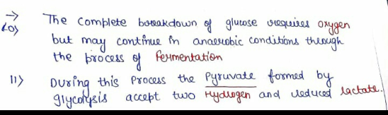 The complete bureakdown of glucose srequires oxygen but may continue in anaerobic conditions through the brocess of fermentat