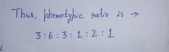 Thus, phenotypic hu no ratio is - 3:6:3:1:2:1