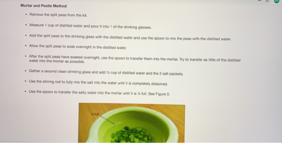Mortar and Pestie Method • Retrieve the split peas from the kit • Measure 1 cup of distilled water and pour it into 1 of the