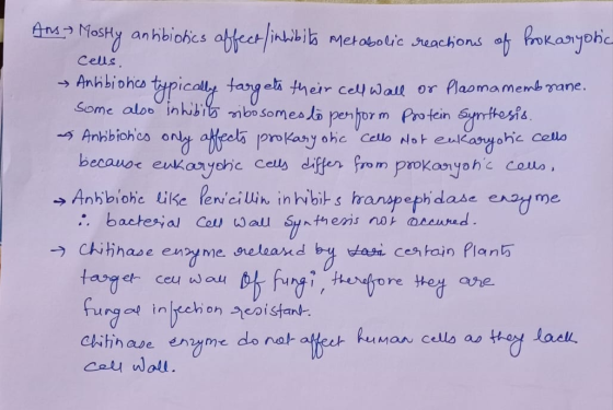 Ans Mostly antibiotics affect inhibits Metabolic reactions of brokaryotic Cells. → Antibiotics typically targets their cell w