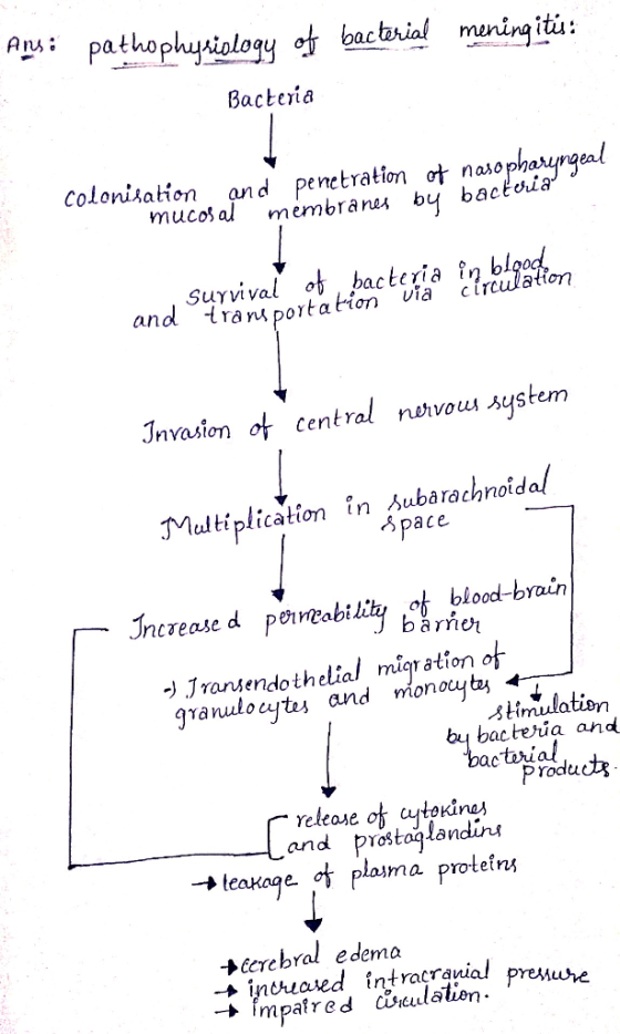 Ansi pathophysiology of bacterial meningitis: Bacteria Colonisation and penetration of nasopharyngeal mucosal membranes by ba