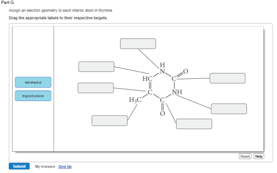 Part G Assign an electron geometry to each interior atom in thymine Drag the appropriate labels to their respective targets. HC tetrahedral NH trigonal planar H3C Reset Help Submit My Answers Give Up