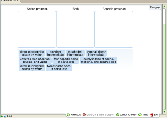 Question 3 of 5 Map Serine protease Both Aspartic protease direct electrophilic covalent tetrahedral trigonal planar catalytic triad of serine, four aspartic acids catalytic triad of serine, direct nucleophilic two aspartic acids intermediate attack by water intermediate intermediate leucine, and valine attack by waterin active site in active site histidine, and aspartic acid O Previous ⓧ Give Up & View Solution O Check Answer 0 Next Exit