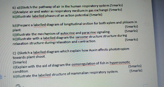 6) a)i)sketch the pathway of air in the human respiratory system.(5marks) ii) Analyse air and water as respiratory medium in