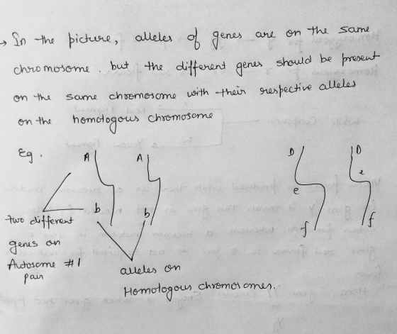 In the picture, alleles of genes are on the same chromosome, but the different genes should be present on the same chromosome