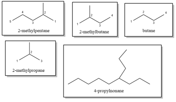 2-methylpentane 2-methylbutane butane 2-methylpropane 4-propylnonane