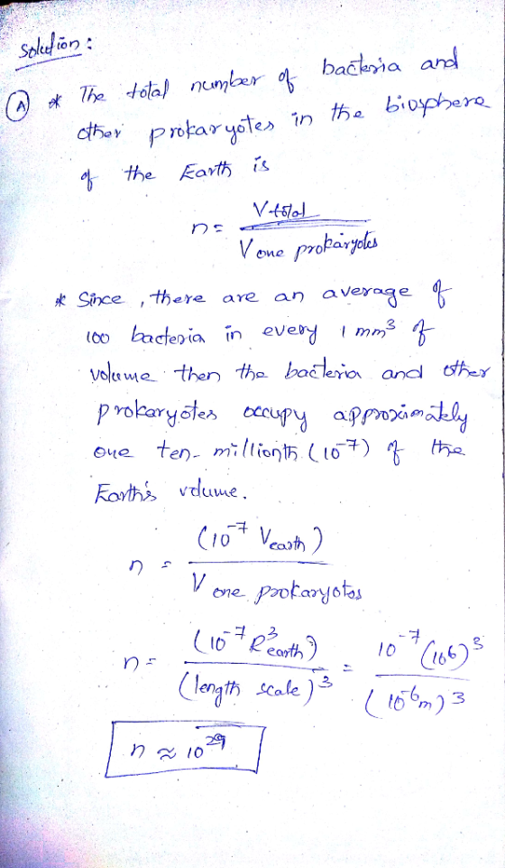 backna are A)吠7he -/ tal number. っero pofar yoles in n: 术Shoe , t ere are an average too bacfepia in ever mn YOParyoleろ eye