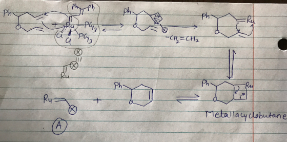 ph Ph Ph Metalaydobutane o b