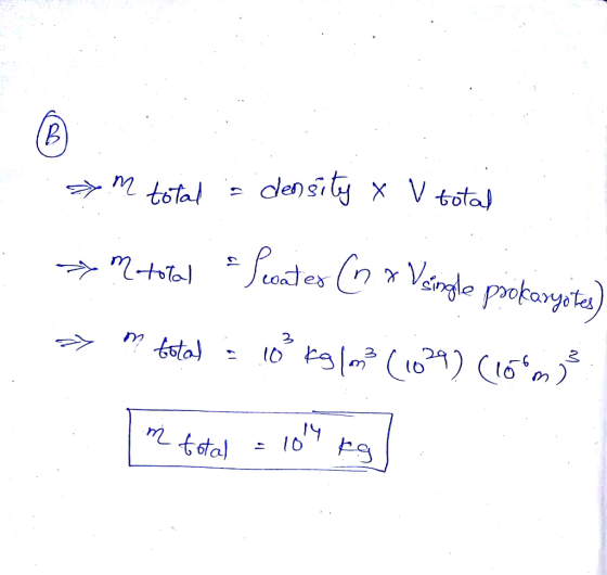 Single oyo 14