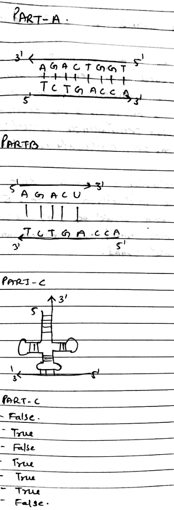 PART-A TCT ACC (aer-C False True FalSe rLuA False