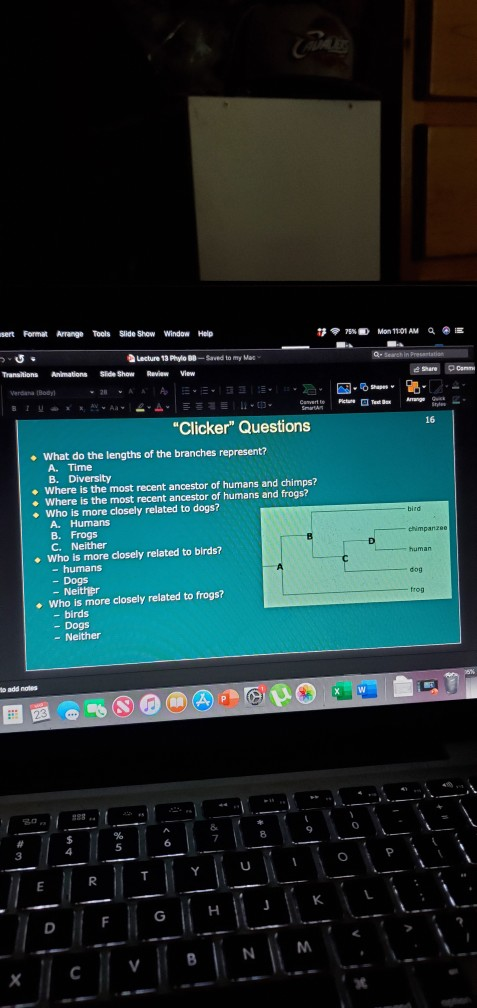 sert Format Arrange AE Tools Slide Show Window 93 Help 75% Mon 11:01 AM Q Q- Search in Presentation BU Lecture 13 Phylo Be-Sa