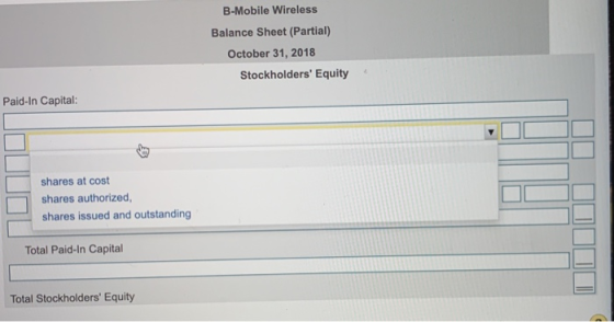 B-Mobile Wireless Balance Sheet (Partial) October 31, 2018 Stockholders Equity Paid-In Capital: shares at cost shares author
