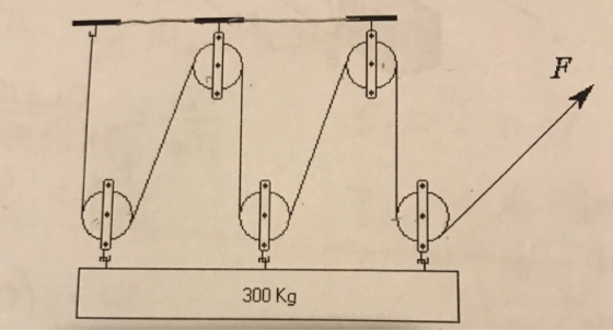 300 Kg