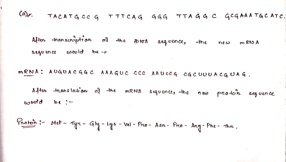 Caly TACATGCCG TITCAG GGG TTA Ĝ G C GCG AAA TGCATC. Aften than scription of the DNA sequence, the new mRNA sequence would be