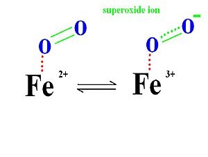 superoxide ion 0 0 0 0
