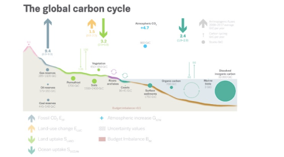 The global carbon cycle Atmosphericco 32 9.4 180- Vegetation Dissolved inorganic carbon 400OGIC 305-1115 GIC Rivers Permafros