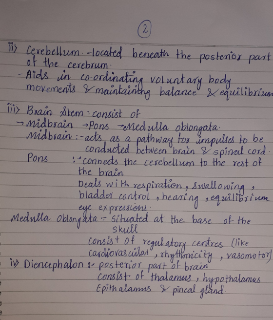 21 Cexebellum -located beneath the postenioy paat of the cerebrum -Aids in toordinatiny voluatay body movenents mainatainthg