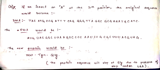 (b)% of we inseret an A at the 9th position, the original sequence woolol become : DNA:- TAC ATG CCG ATT I CAG GGG ITA GGC