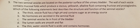 9. The two seminal vesicles are located on the posterior surface of the urinary bladder. The wall of each vesicle contains mu