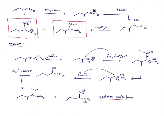 NH₃ Hel Naen NH co2H H3ot/ NH2 3 NH₂ N THB Mechma н Ghee Nirg/tilent CN H.got, heat NH2 care a NH 2 T co2h عالم zwitter ionic