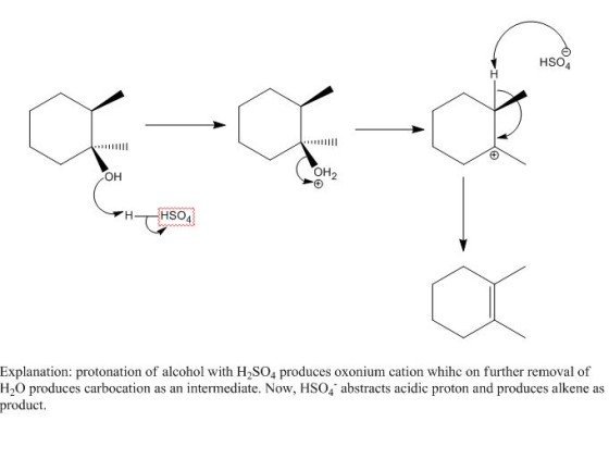 HSO4 OH H-HSO4 Explanation: protonation of alcohol with H2SO4 produces oxonium cation whihc on further removal of H2O produce
