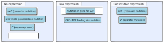 No expression Low expression Constitutive expression lacP (promoter mutation) mutation in gene for CAP lacI (repressor mutati
