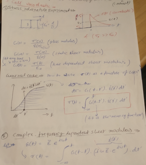cell visco elastica Stress relaxation Experimentis ed (conticest) TEH (Viscoelastic) Elt) Eo A o {(leo) (At € (to >> C (0) TO