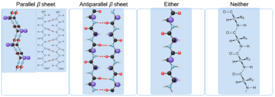 Parallel B sheet
Antiparallel B sheet
Either
Neither
O=C
H-EARS
NH
-
-C
O=0
H-
R;
N-H
O=C
H-C-R
N-H