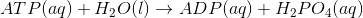 AT P(aq) + H2O(l) + ADP(aq) + H2PO4(aq)