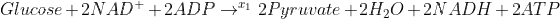 Glucose + 2 NAD^{+} + 2 ADP \rightarrow^{x_{1}} 2 Pyruvate + 2H_{2}O +2NADH + 2ATP