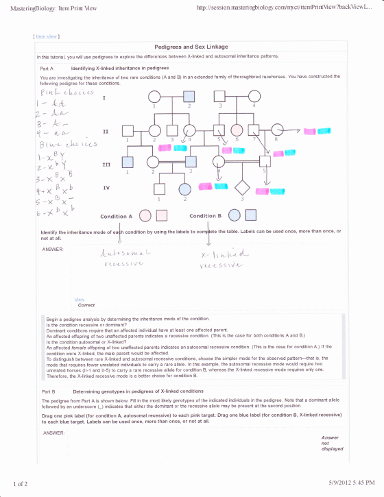 In this tutorial, you will use pedigrees to explor