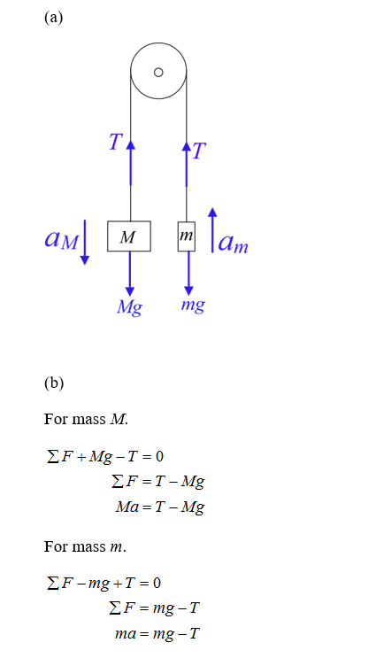 aml m am Mg Mg mg mg (b) For mass M. F+Mg-T = 0 EF=T - Mg Ma=T - Mg For mass m. EF-mg +T = 0 EF = mg-1 ma= mg-1